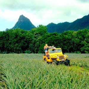 575840_444612842302397_431261740_n