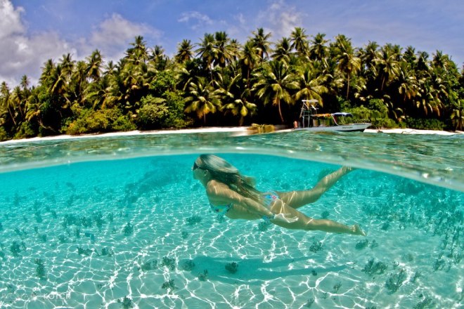 21782_10151372180817494_1300806476_n