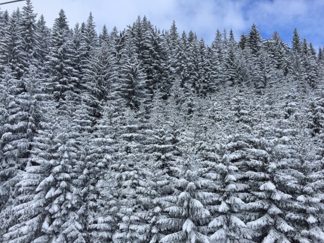 φωτογραφία 3-1