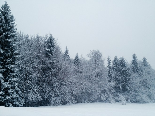 φωτογραφία 3